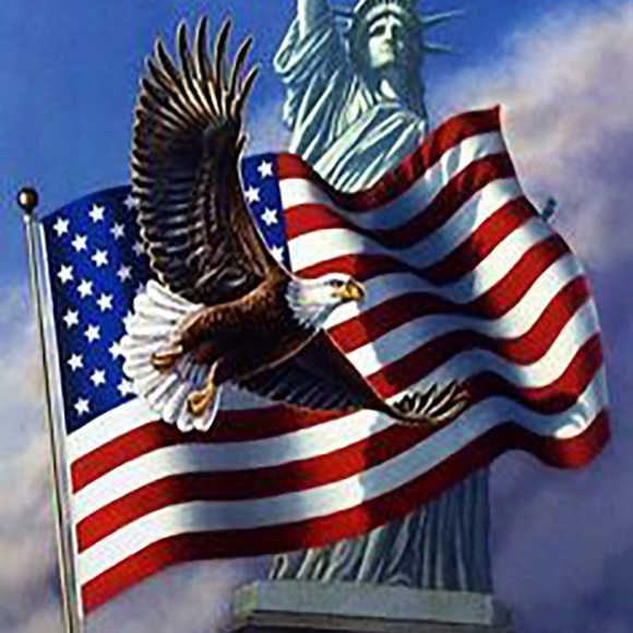 🗣U.S. Army Physical Trainingc Tee - Discontinued - Picture 4 of 16